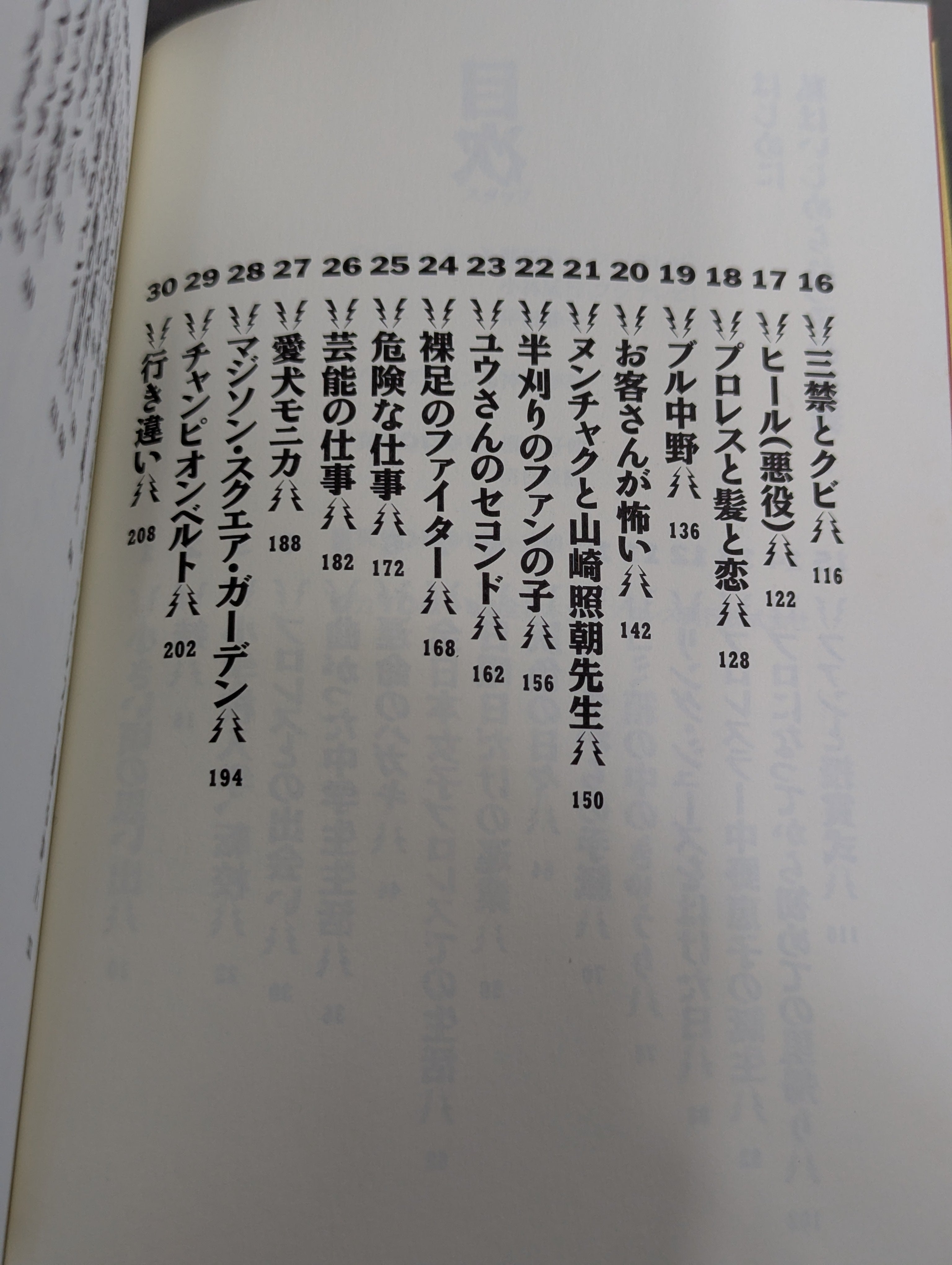 ブル中野 直筆サイン入り】金網の青春 – 闘道館