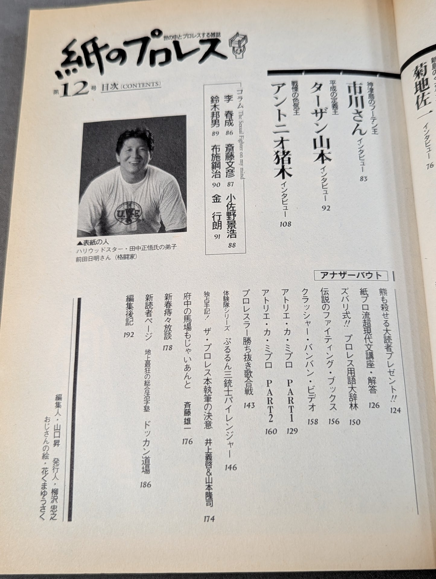 Pro Wrestling  12 on paper