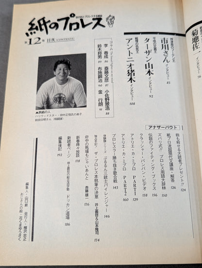 Pro Wrestling  12 on paper