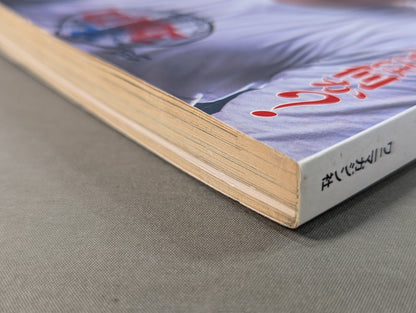 Pro Wrestling  12 on paper