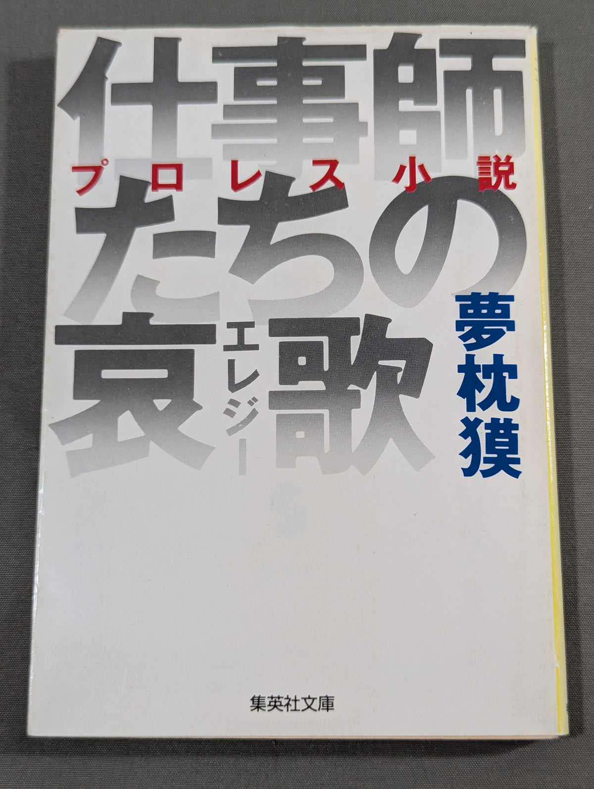 プロレス小説 仕事師たちの哀歌(エレジー)