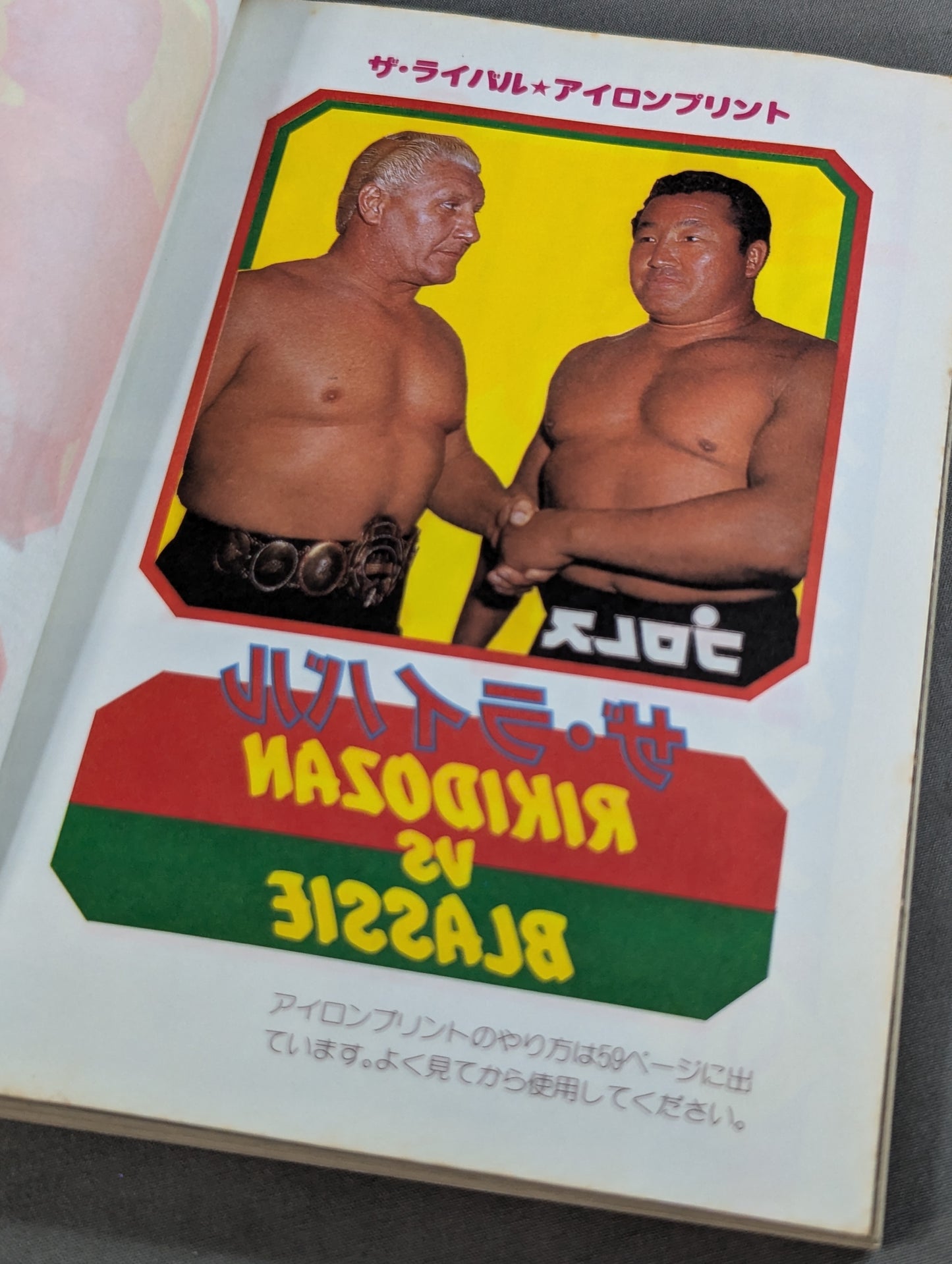 プロレス・オールガイドブック③ プロレスラー過激なるロマンの戦士