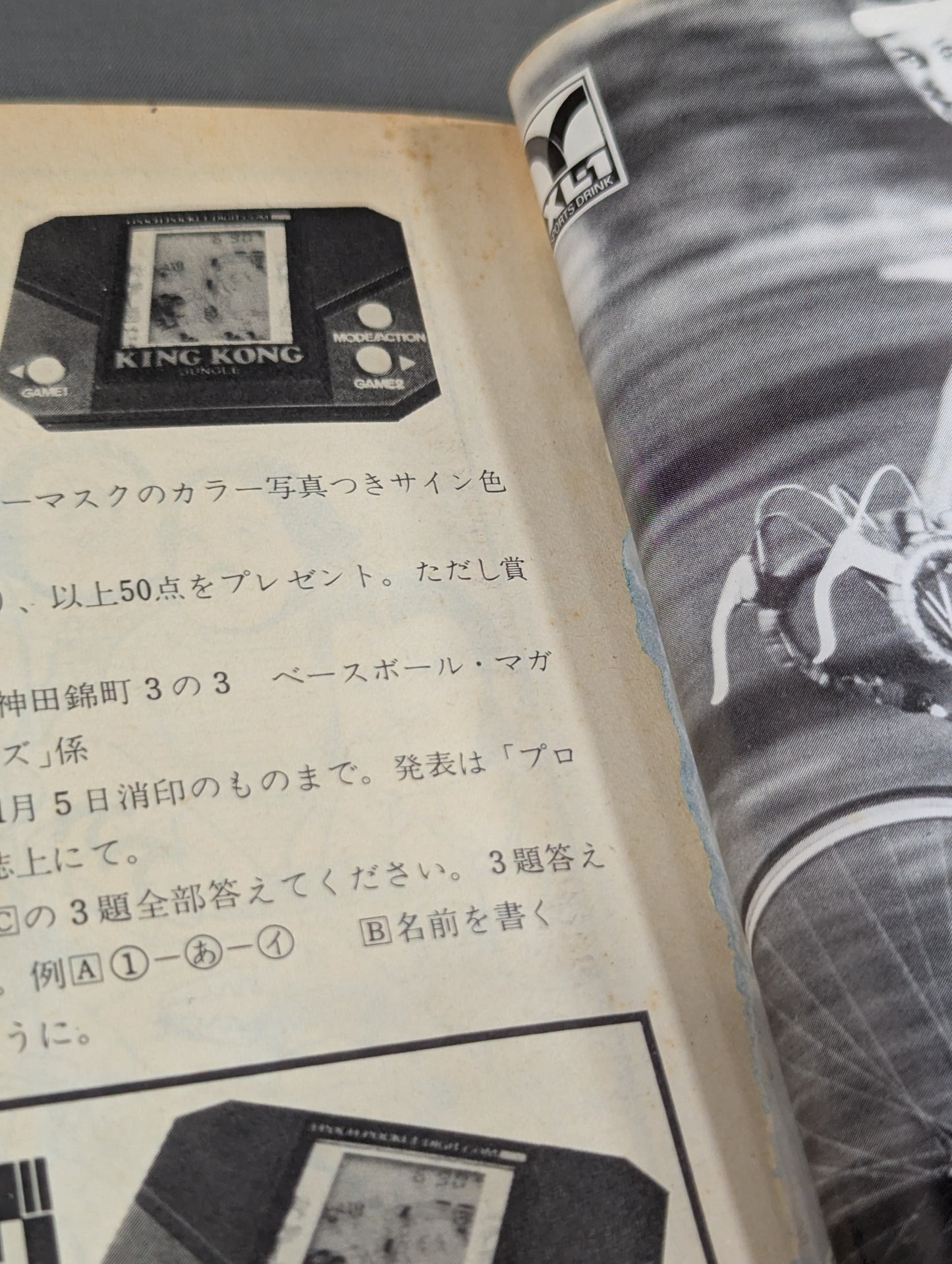 プロレス・オールガイドブック③ プロレスラー過激なるロマンの戦士