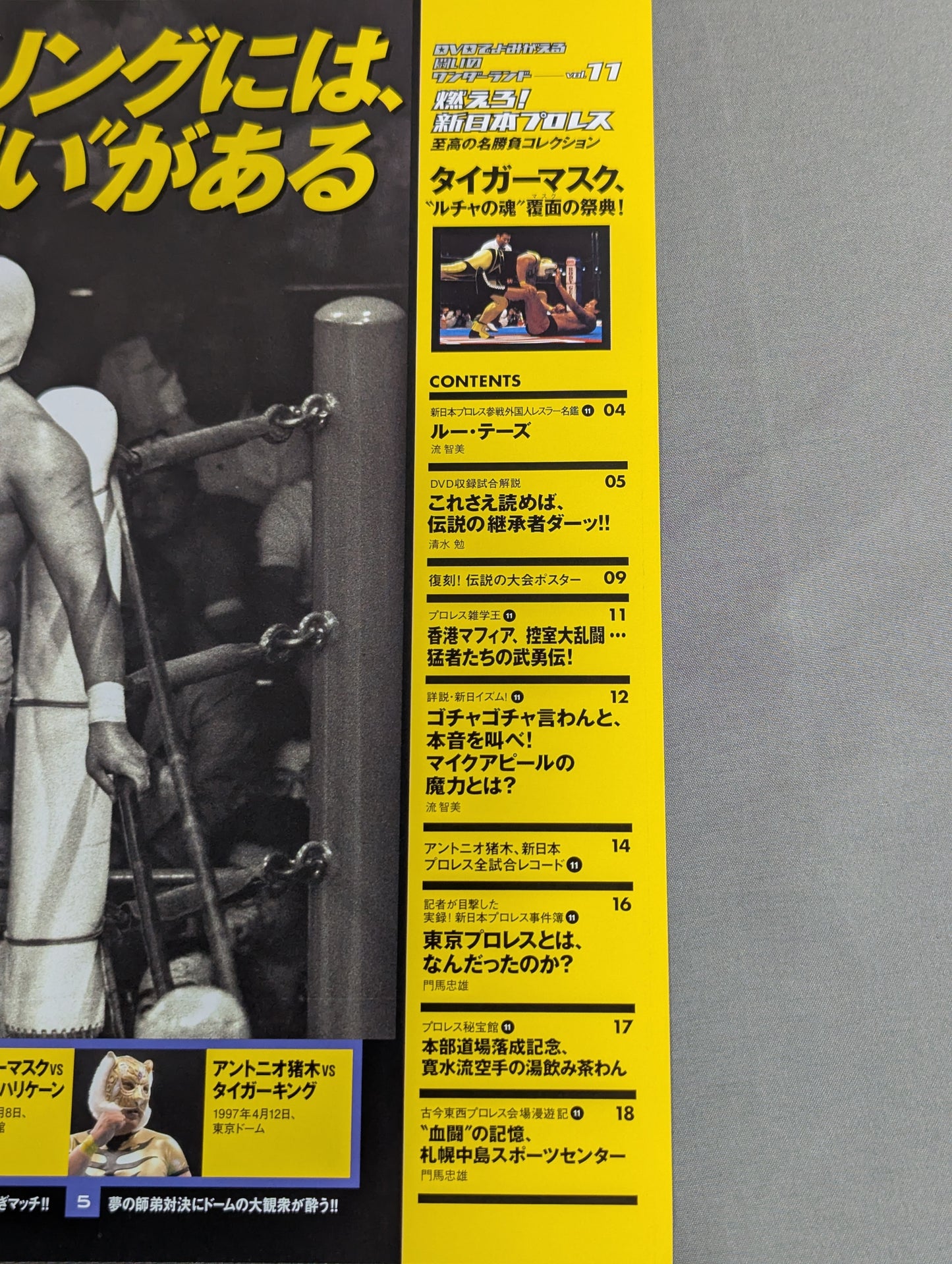 Burn! New Japan Pro Wrestling  vol.11