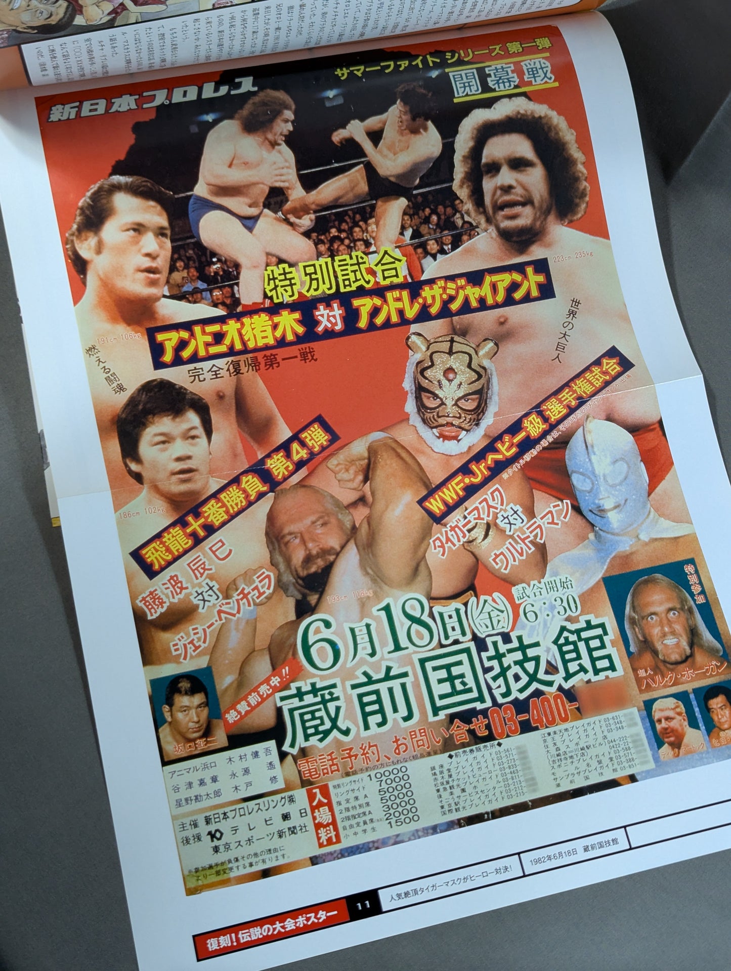 Burn! New Japan Pro Wrestling  vol.11