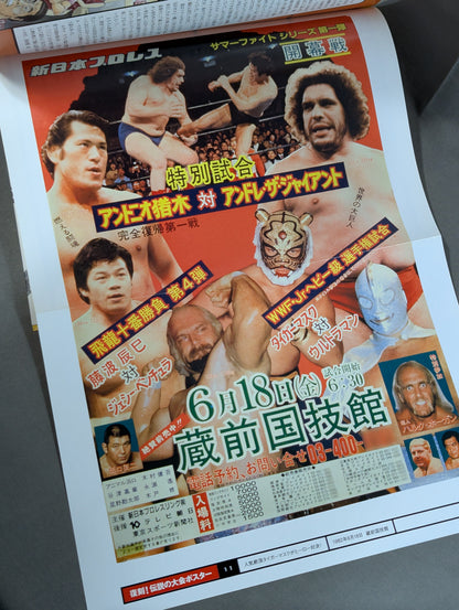 Burn! New Japan Pro Wrestling  vol.11
