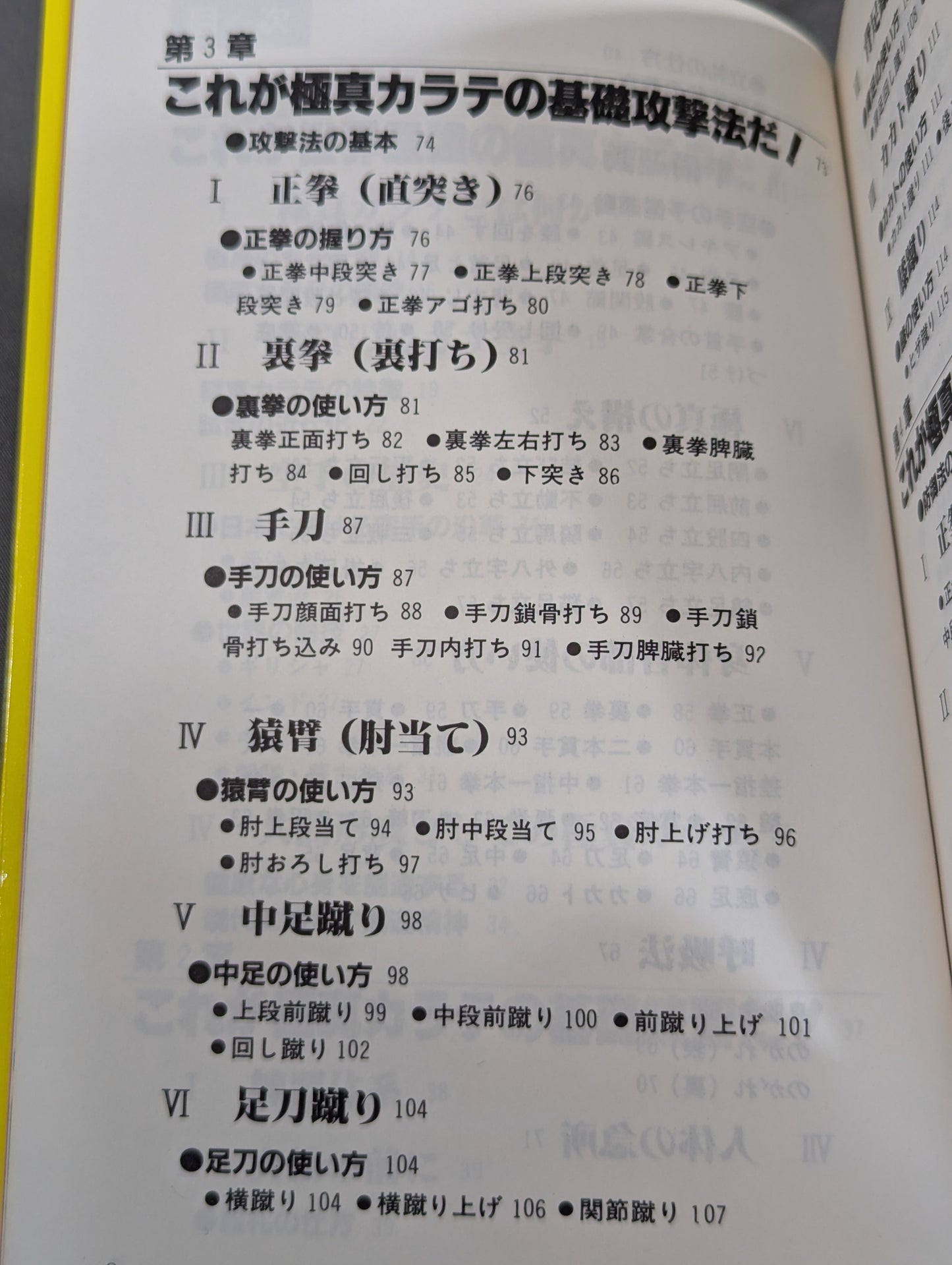 極真 史上最強の空手を始める人に
