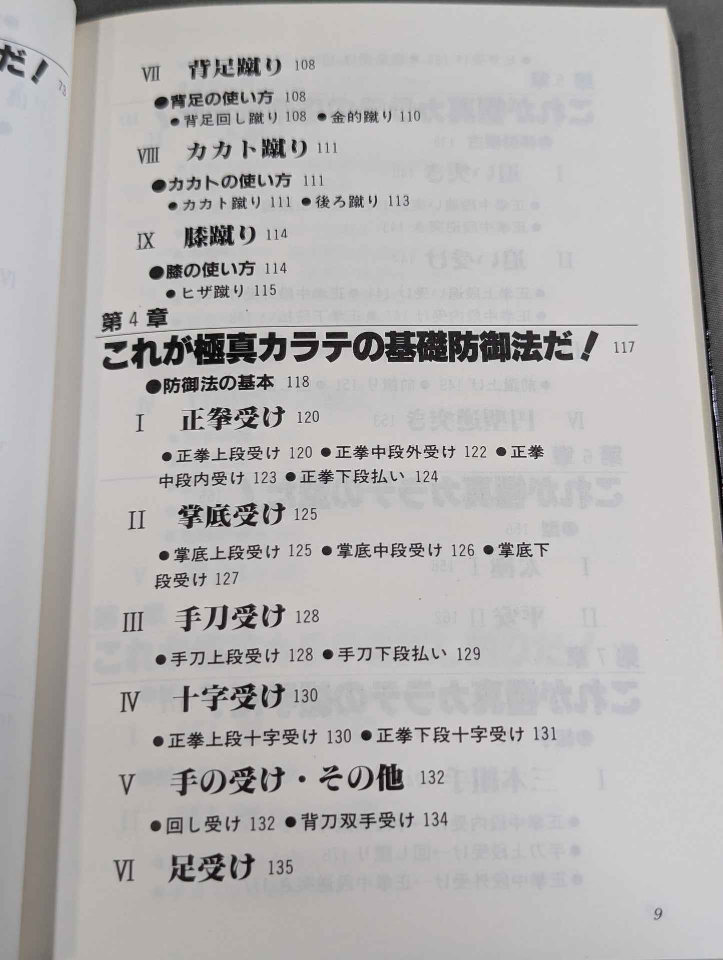 極真 史上最強の空手を始める人に
