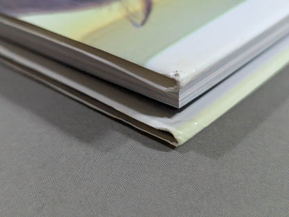 Cutie Suzuki photo collection Love story