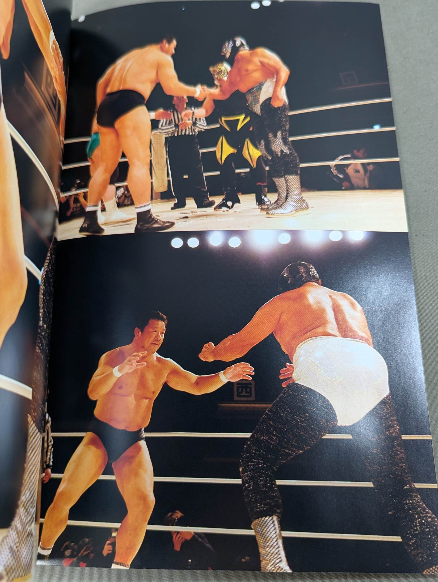 FOTOLIBRE de Mascara Numero.66