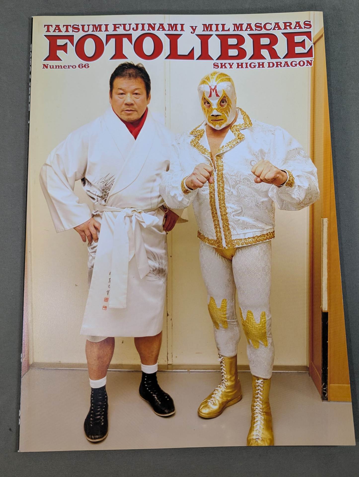 FOTOLIBRE de Mascara Numero.66