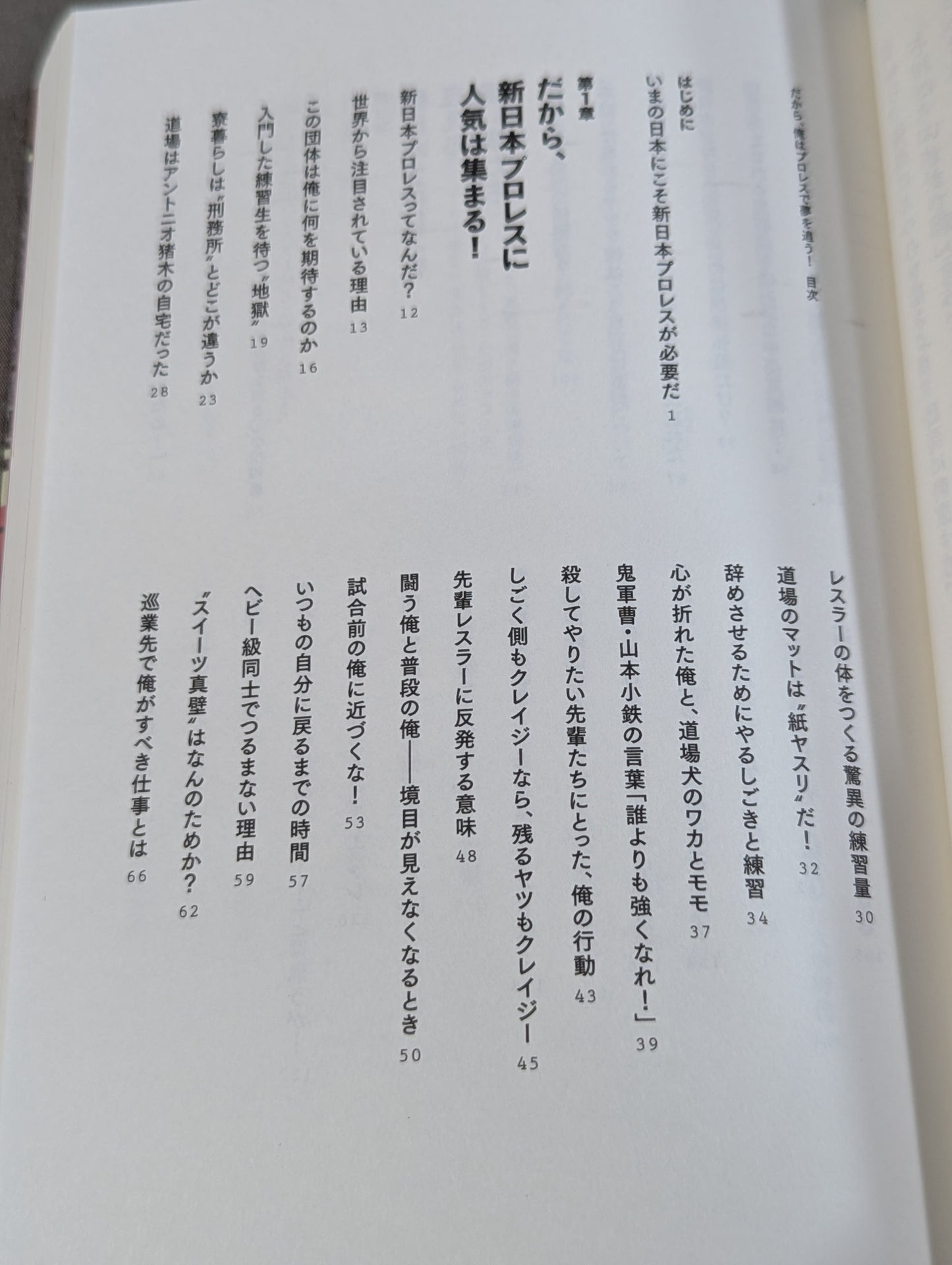 だから、俺はプロレスで夢を追う!