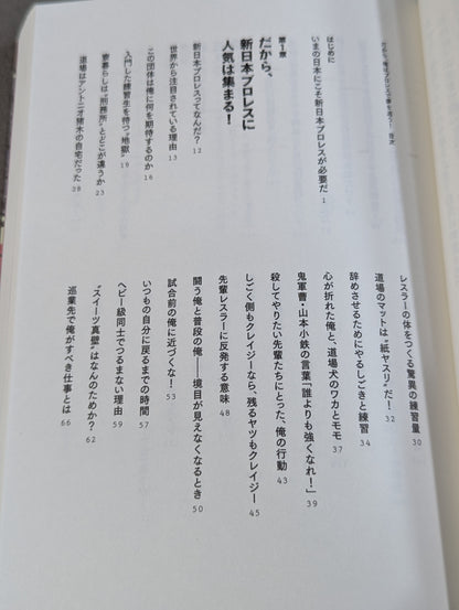 だから、俺はプロレスで夢を追う!