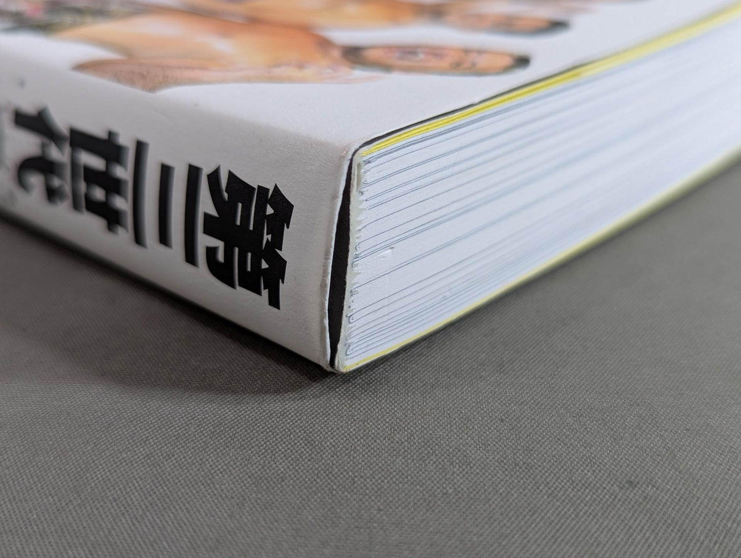 Third Generation Ring Memory