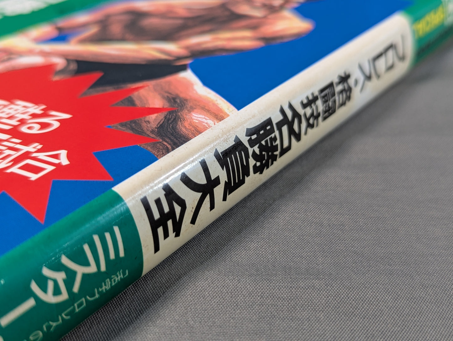 ポケットブックスペシャル プロレス格闘技名勝負大全