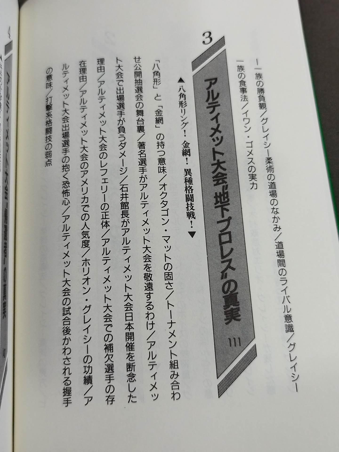 ポケットブック80 決定版 グレイシー柔術の真実