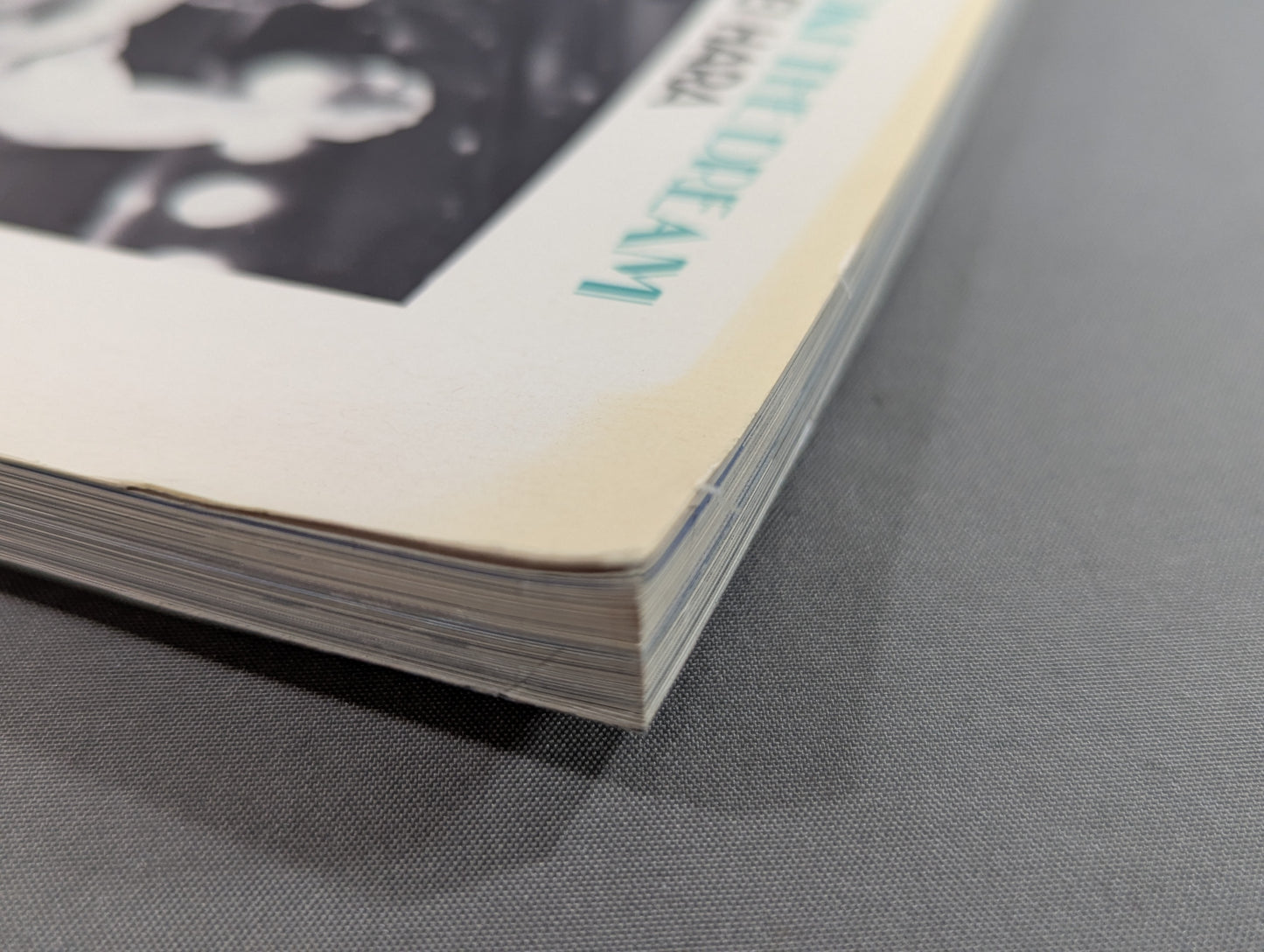 闘魂燃写 猪木の夢