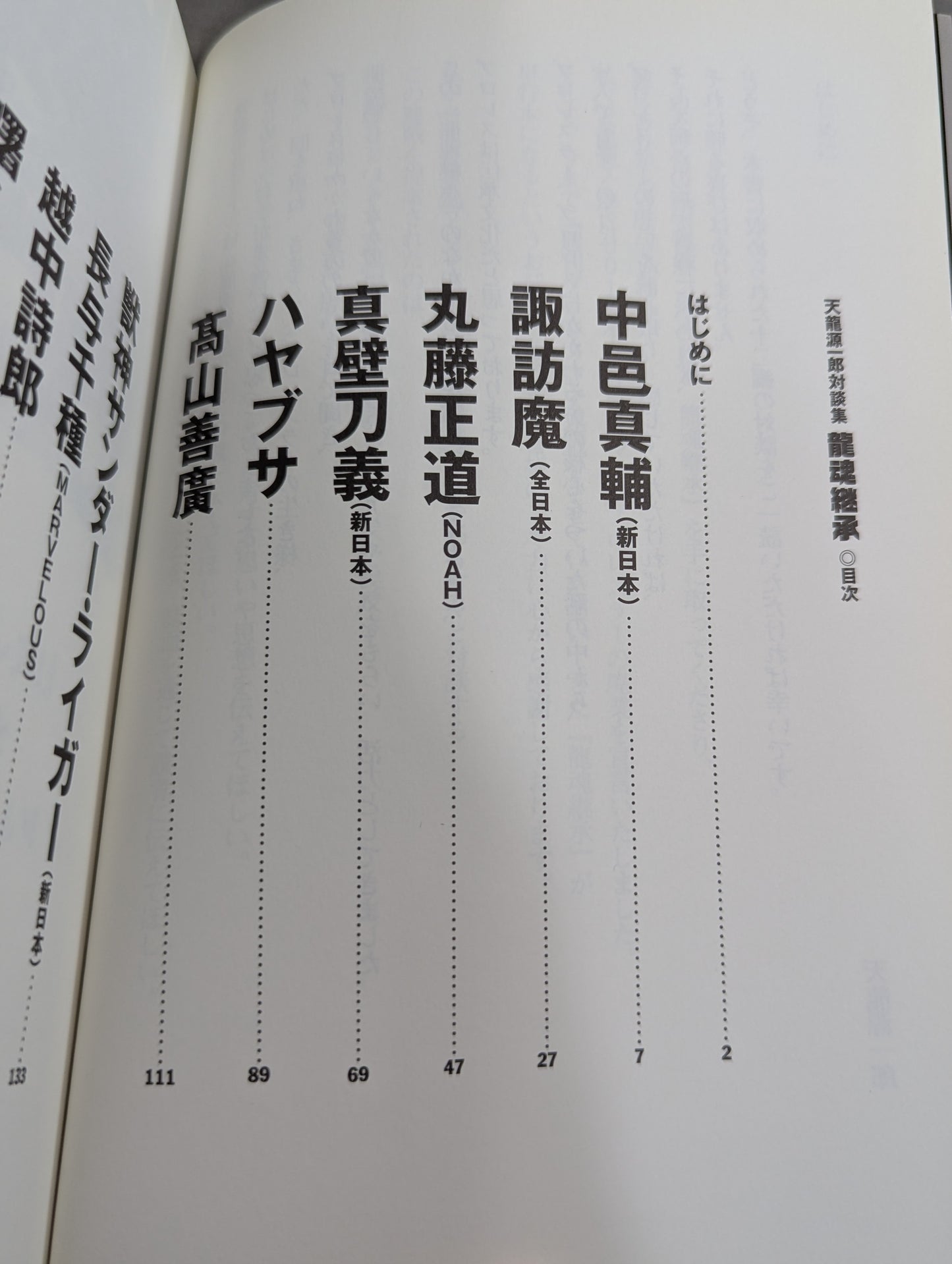 Inheritance of the Dragon Soul Tenryu Genichiro  Dialogue Collection