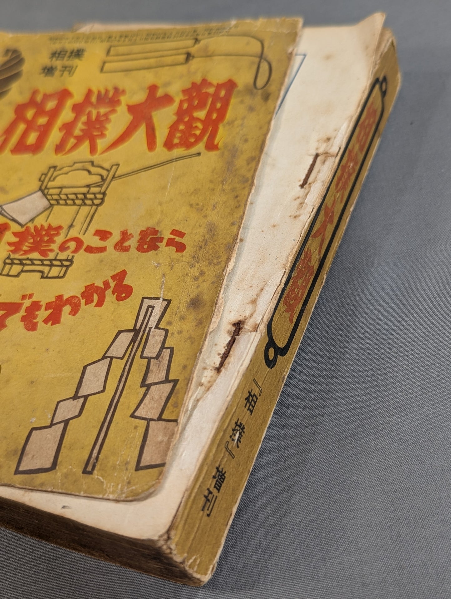 相撲増刊 相撲大観