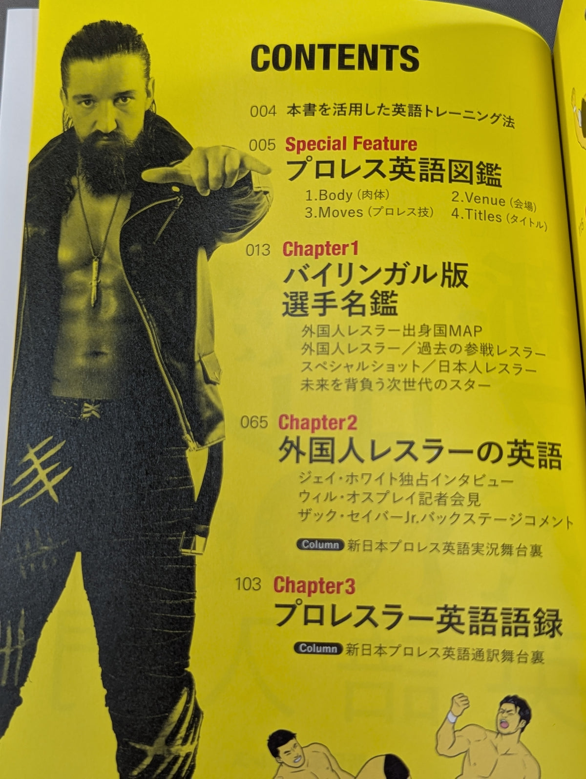 Introduction to New Japan Pro Wrestling  English
