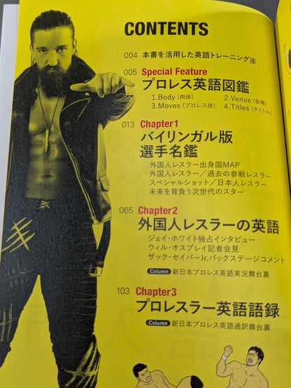 Introduction to New Japan Pro Wrestling  English