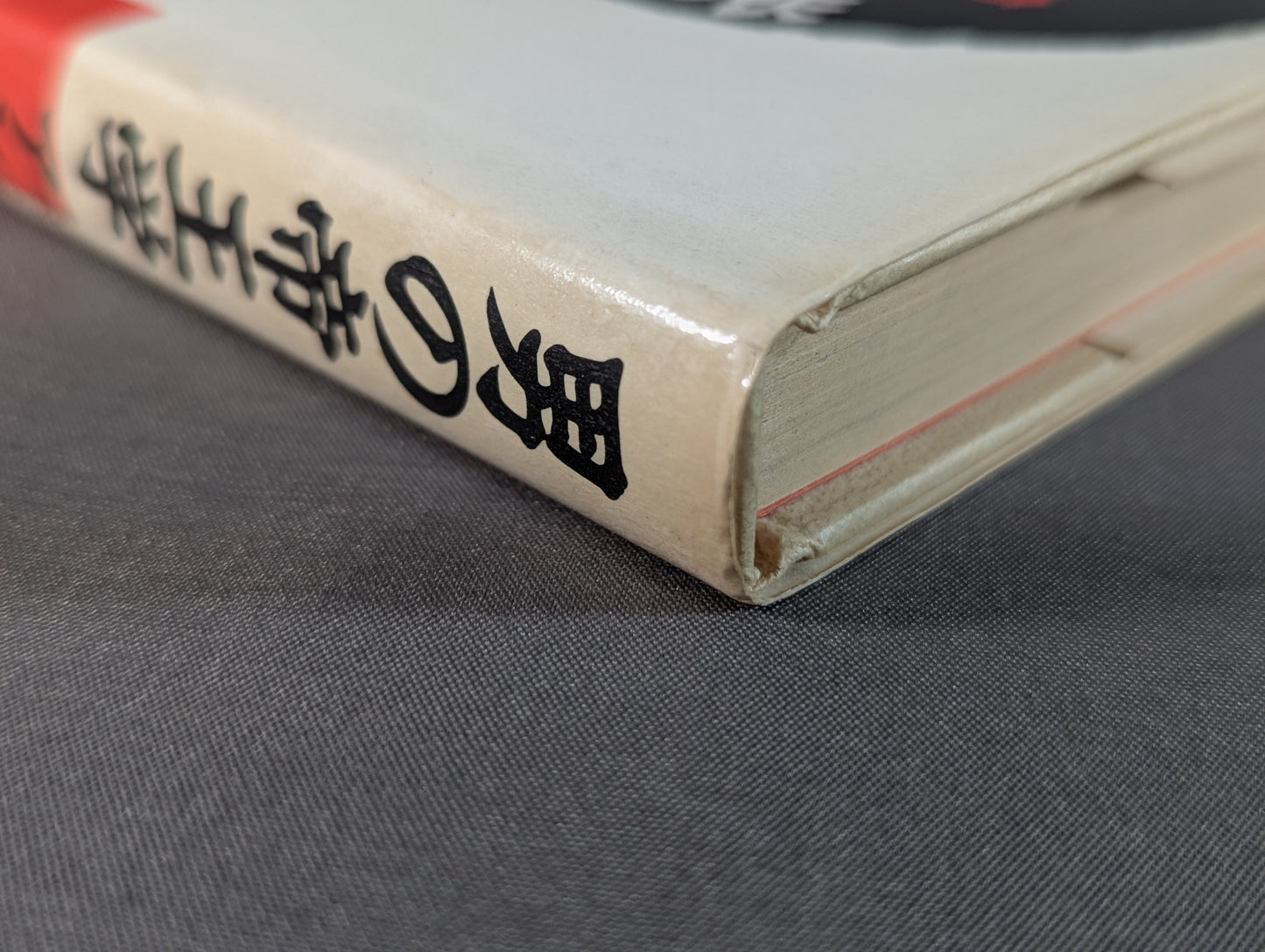 Men's Imperial Studies: Fighting Spirit Revolution