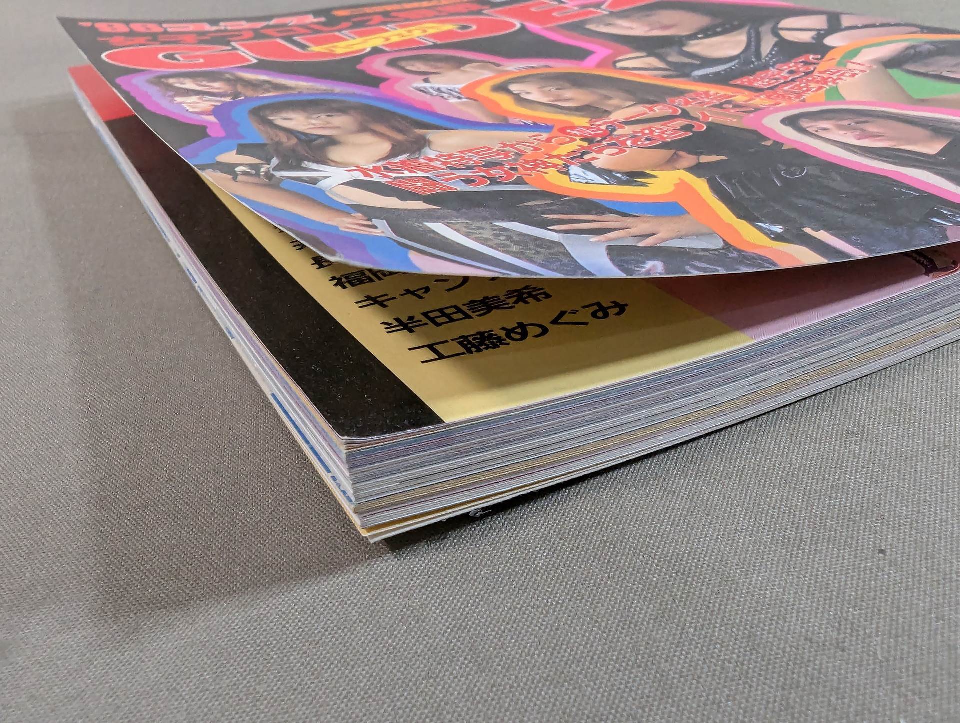 96ゴング 女子プロレス観戦パーフェクトガイド2 – 闘道館