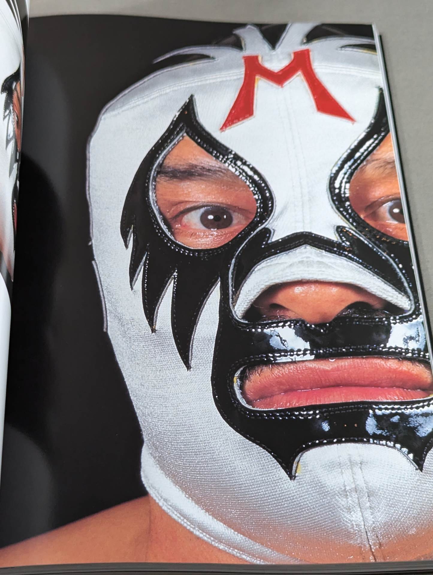 大人気アイテム Mil Mascaras 闘道館 – ミル・マスカラス写真集 アート・デザイン・音楽