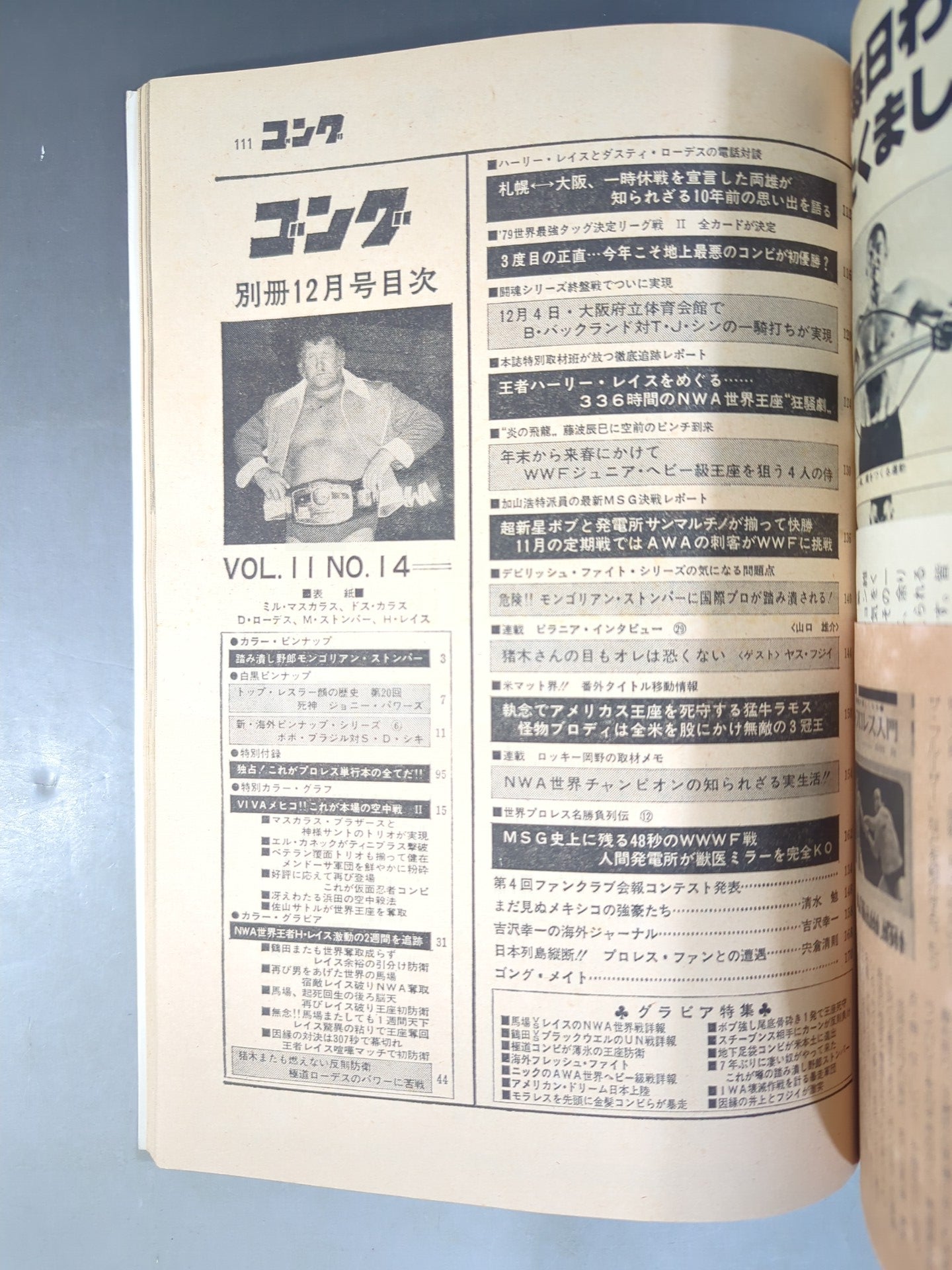 別冊ゴングVol.11 No.13