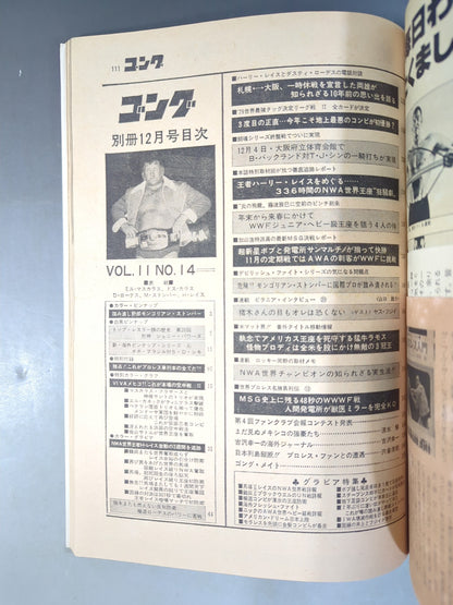 別冊ゴングVol.11 No.13