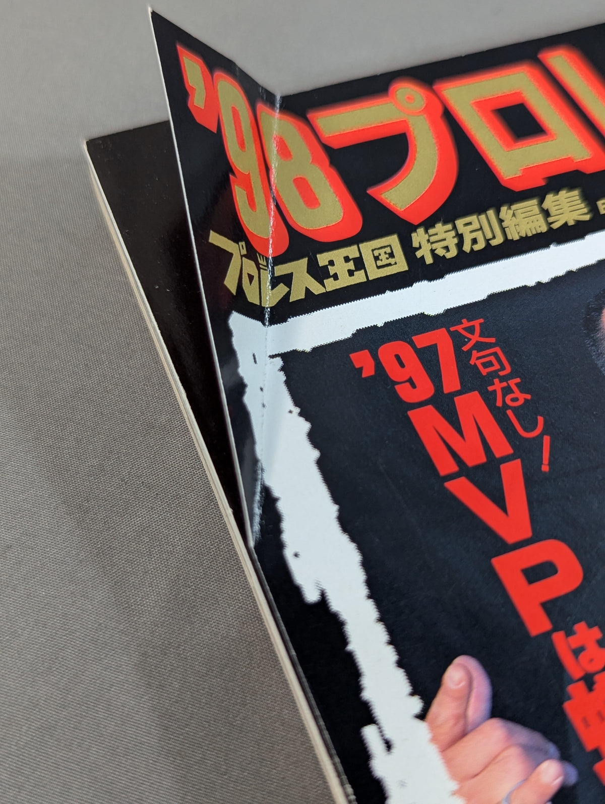 98プロレス年鑑 蝶野､武藤のnWo日本支配
