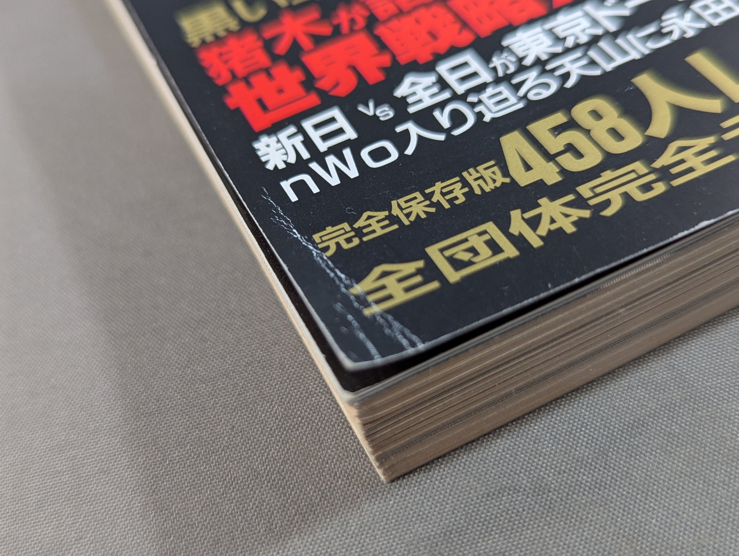 98プロレス年鑑 蝶野､武藤のnWo日本支配