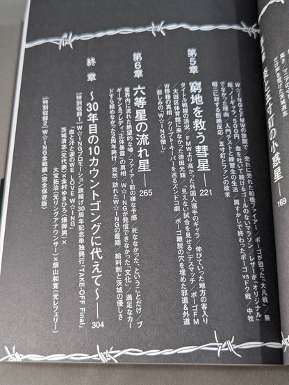 W★ING Shooting Star Legend Stardust Pro Wrestling Junjo Youth Record