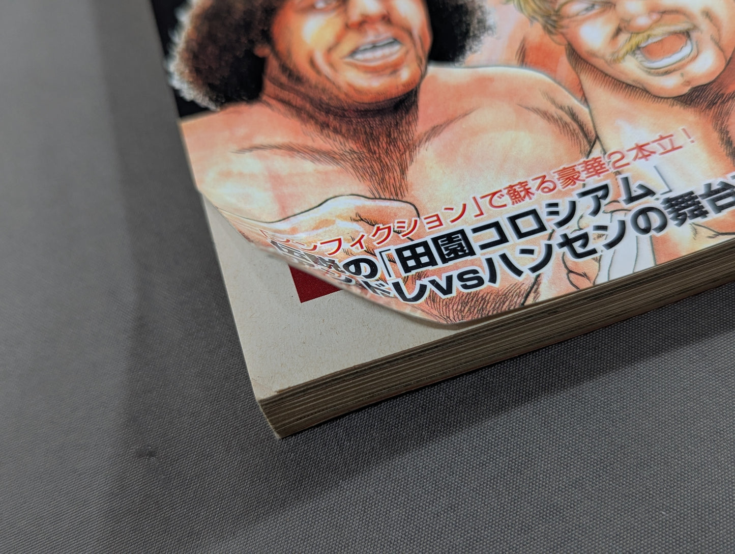 Separate volume Takarashima 1445 Pro Wrestling  Superstar Gaiden The Real History The golden age of Pro Wrestling is back with dramatic paintings!