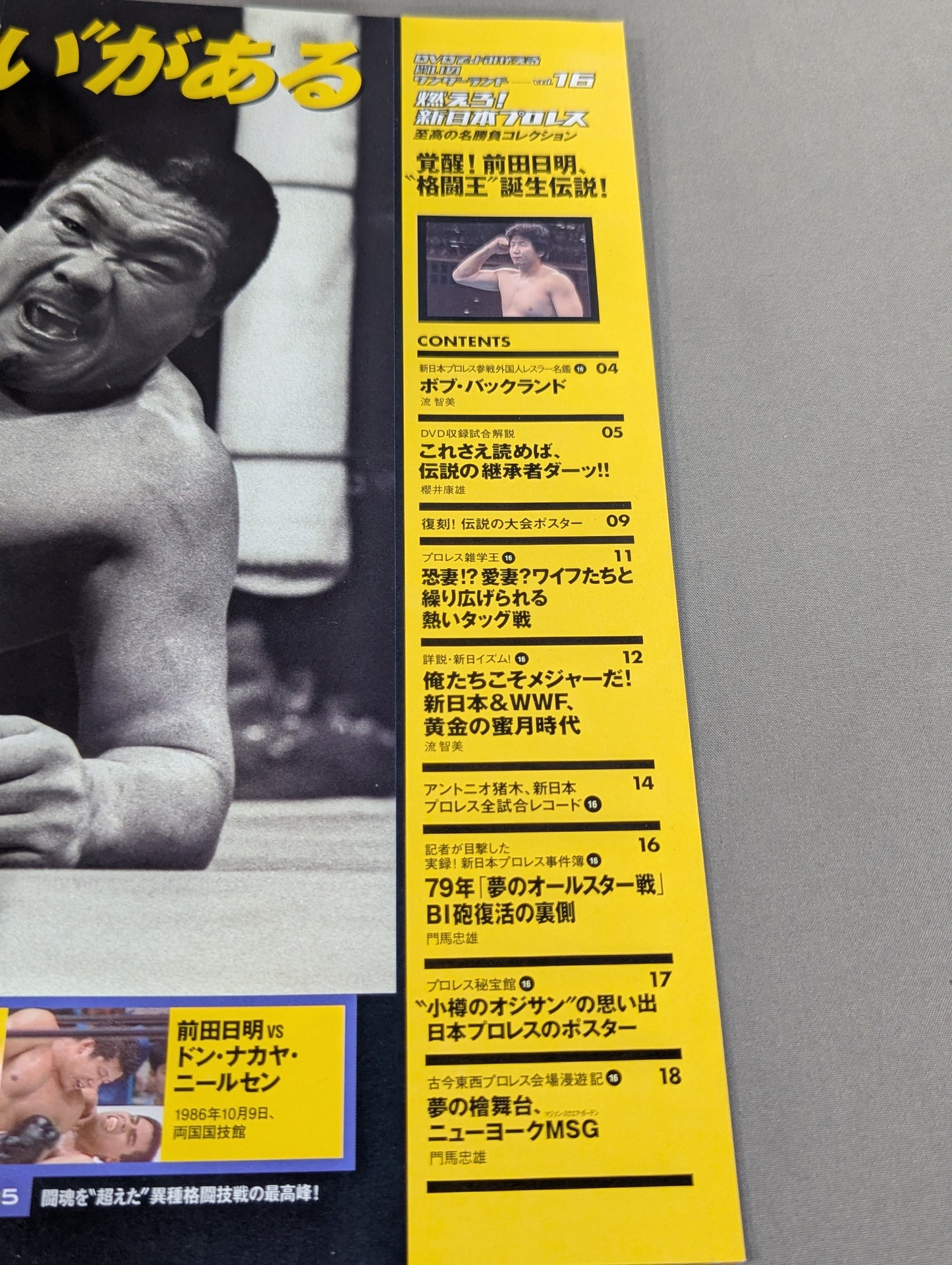 Burn! New Japan Pro Wrestling  vol.16