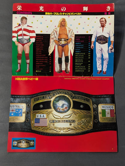 ★ Life-size ★ glorious Pro Wrestling Championship Belt