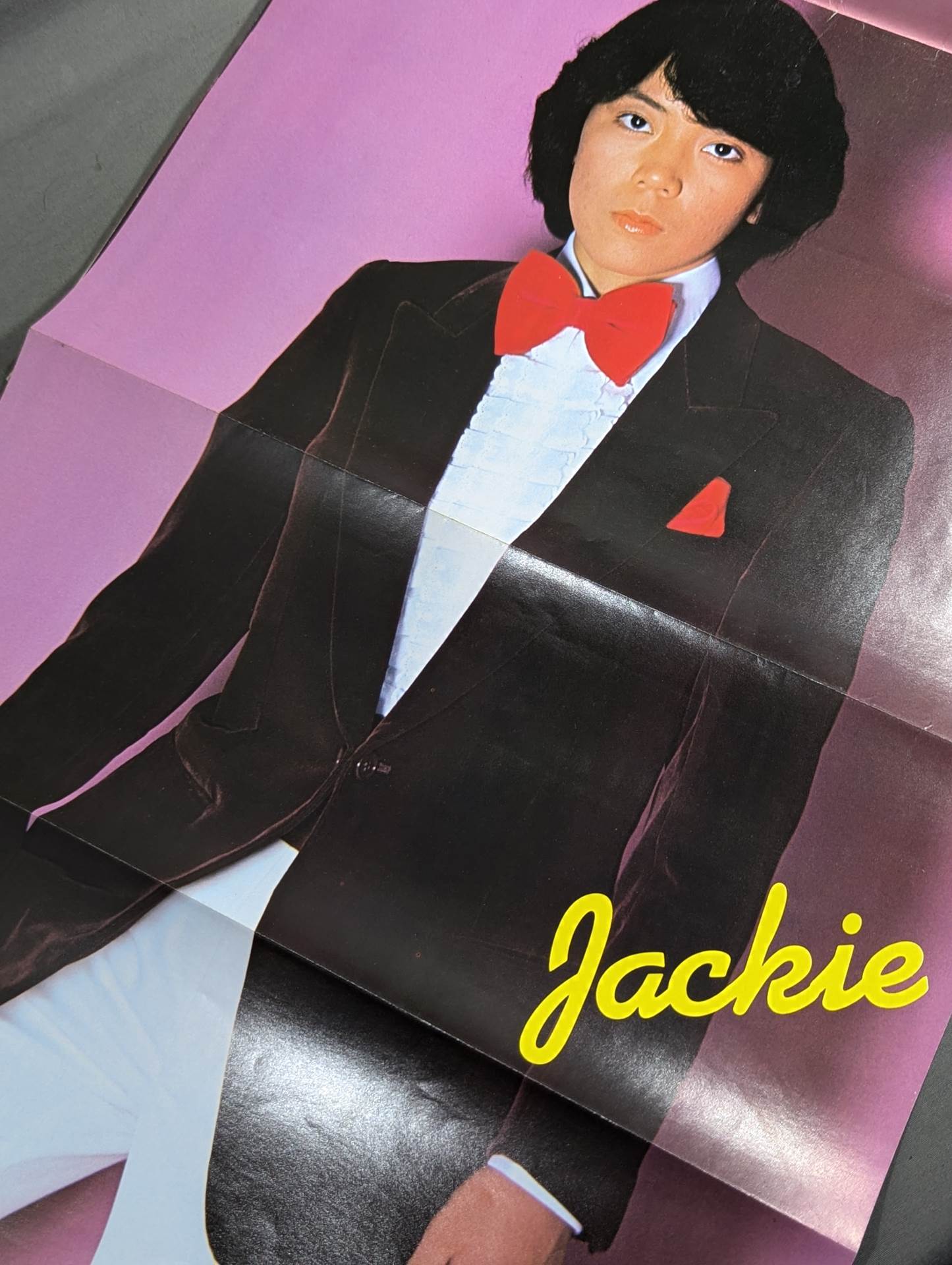 華麗なるビューティ・ペア – 闘道館