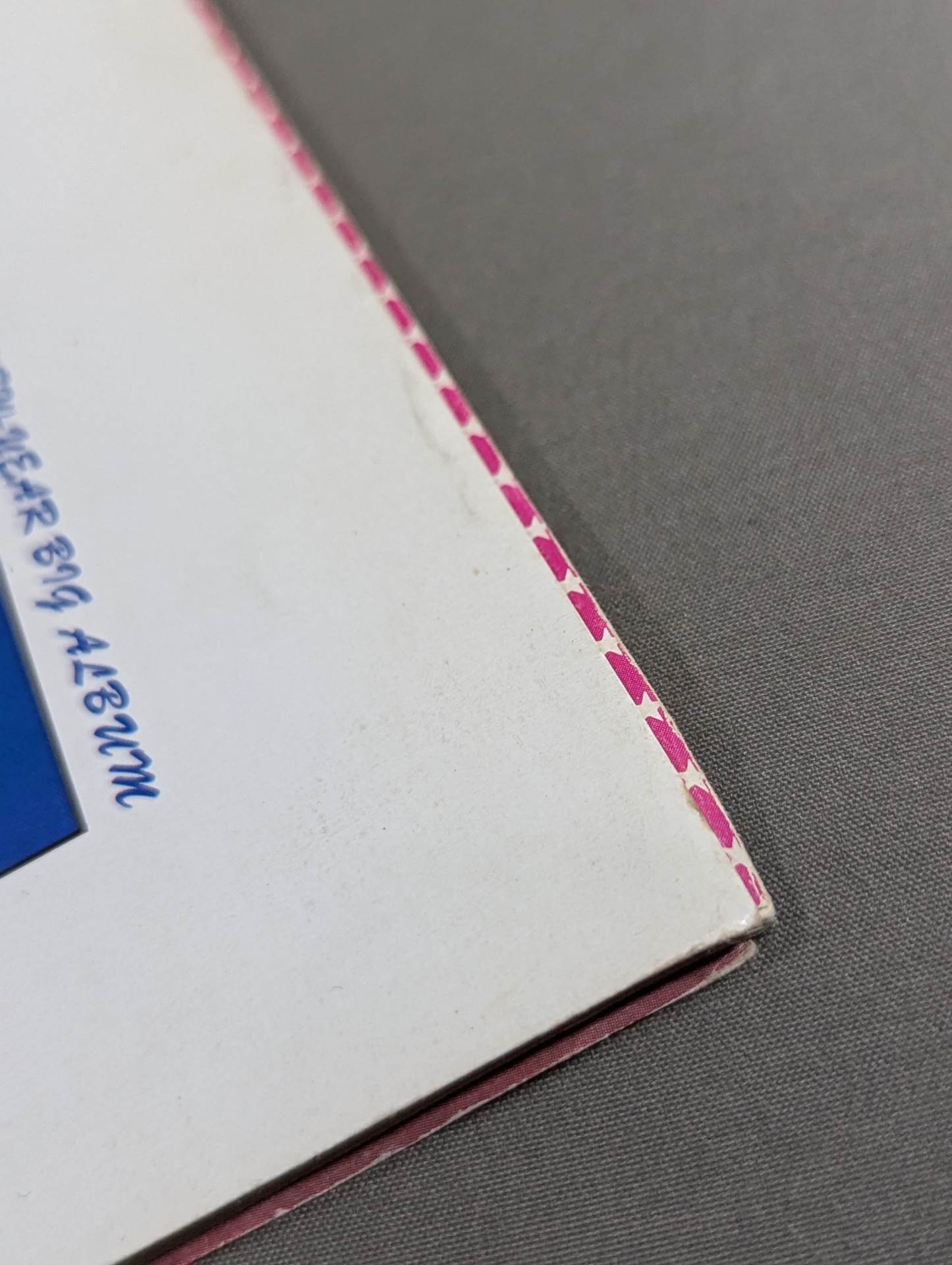 華麗なるビューティ・ペア