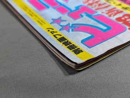 華麗なるビューティ・ペア