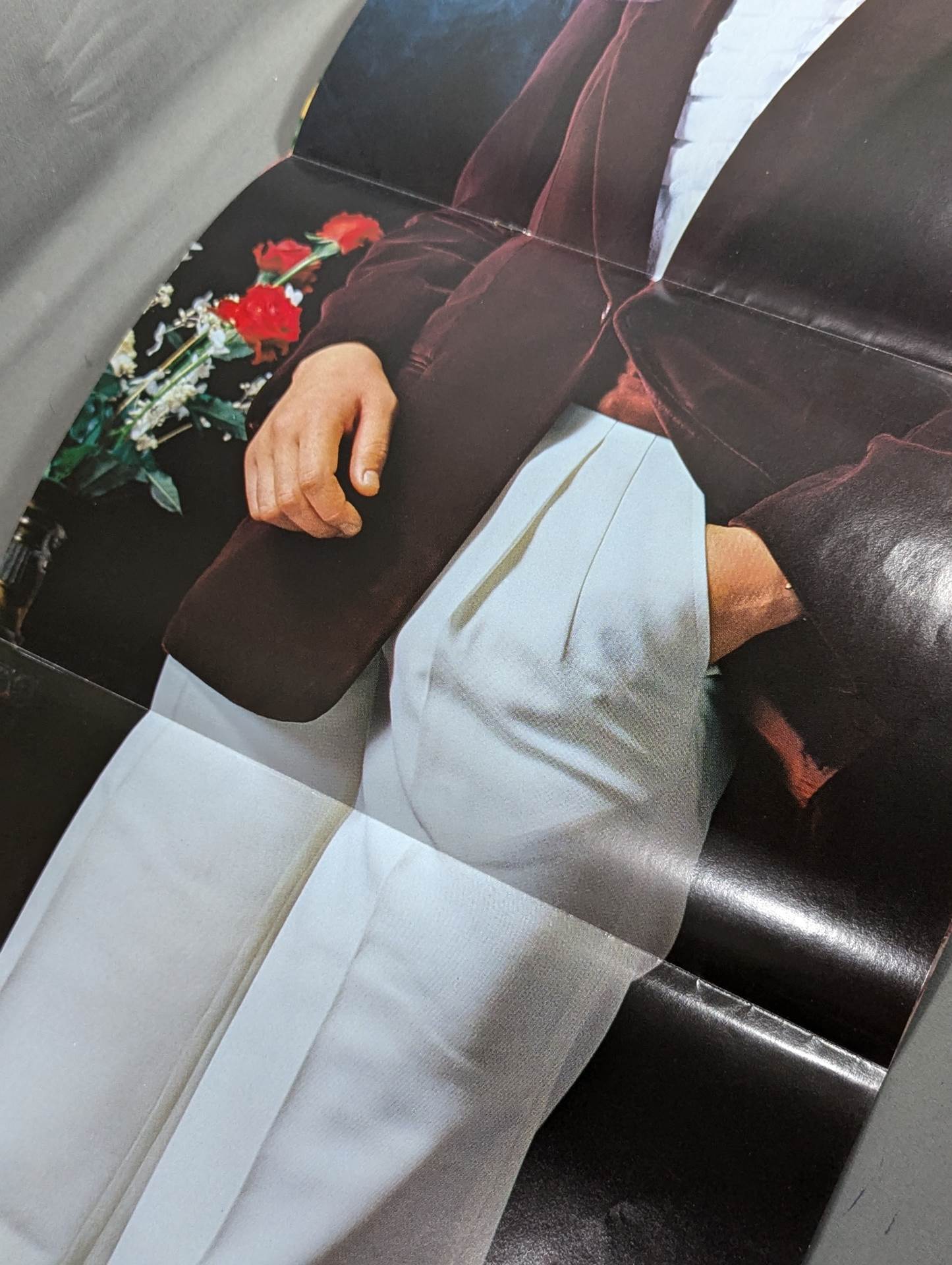 華麗なるビューティ・ペア