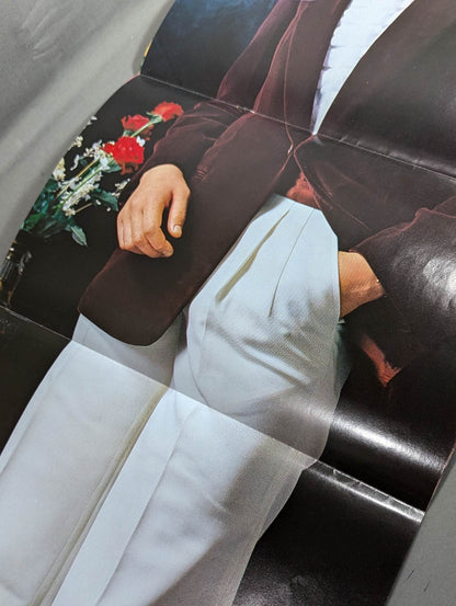 華麗なるビューティ・ペア