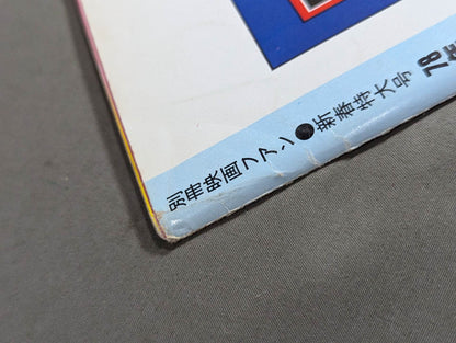 華麗なるビューティ・ペア