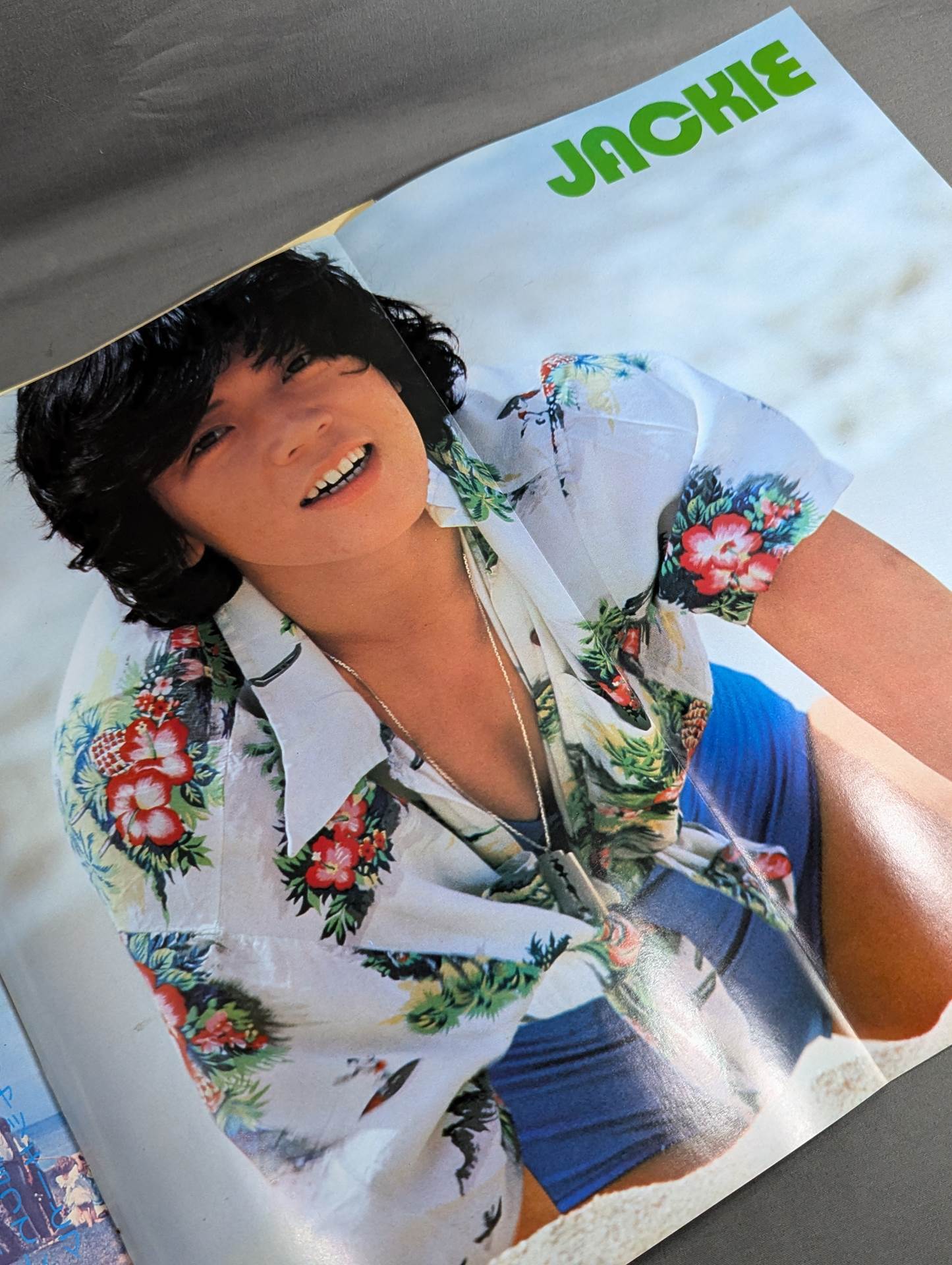 ビューティーペア HAWAII特集号