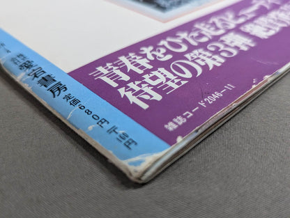 ビューティーペア HAWAII特集号