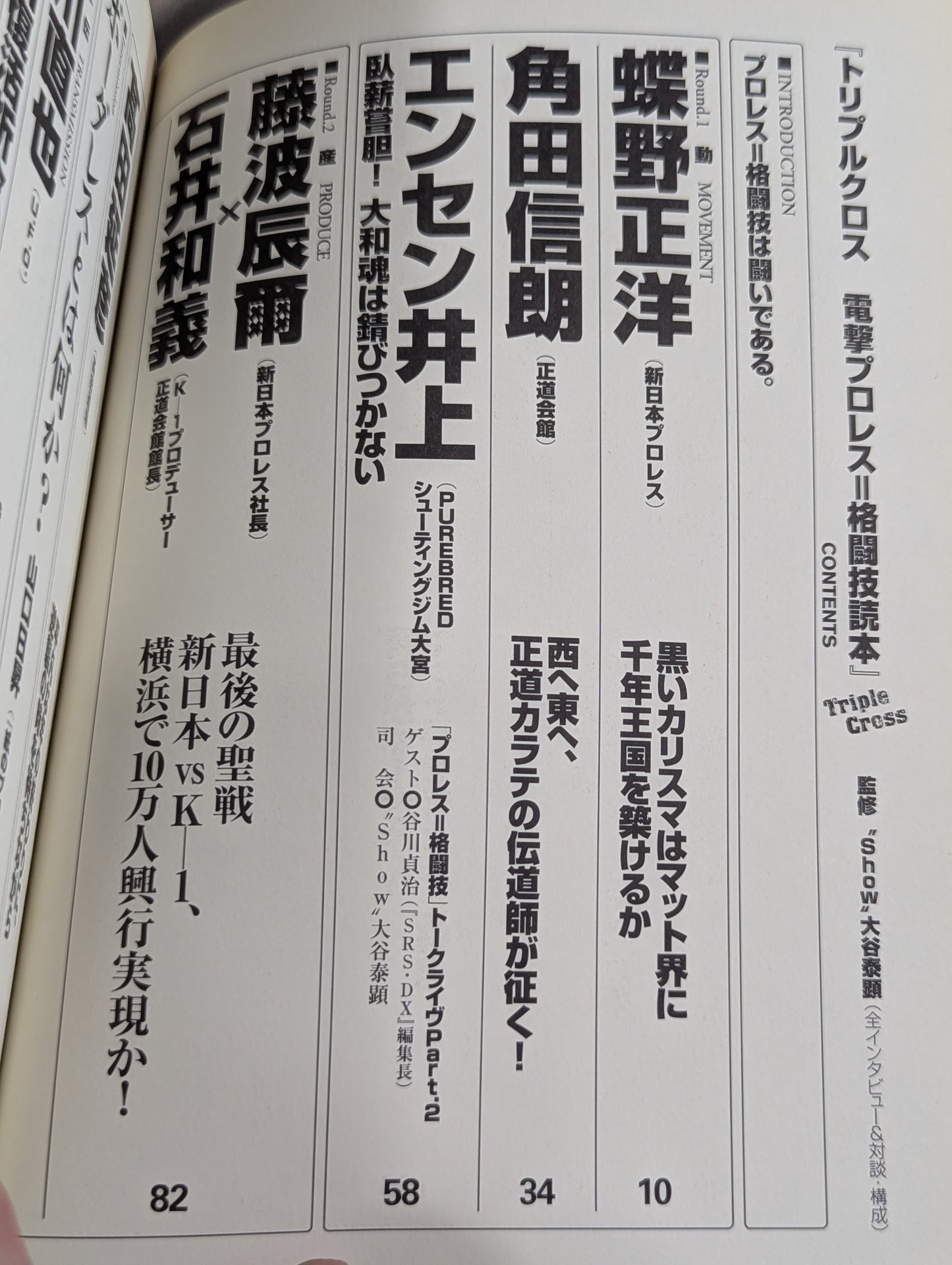 トリプルクロス 電撃プロレス=格闘技読本