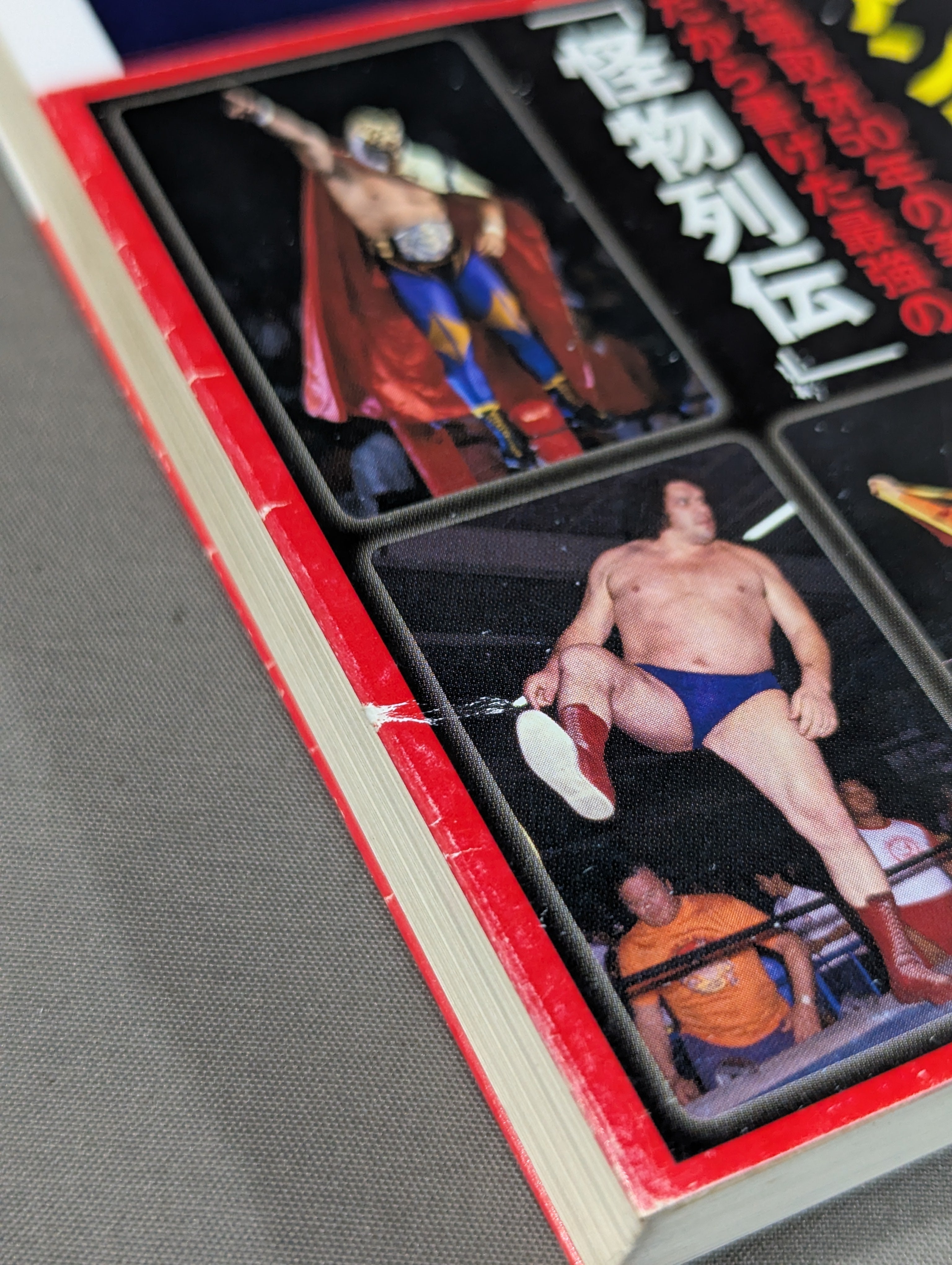 新日本プロレス12人の怪人 – 闘道館