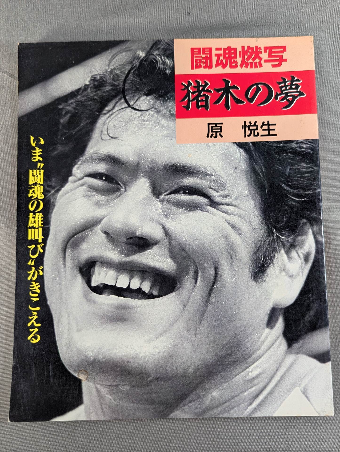 闘魂燃写 猪木の夢