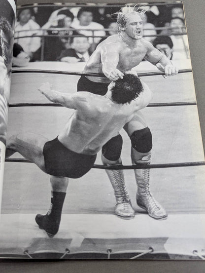 闘魂燃写 猪木の夢