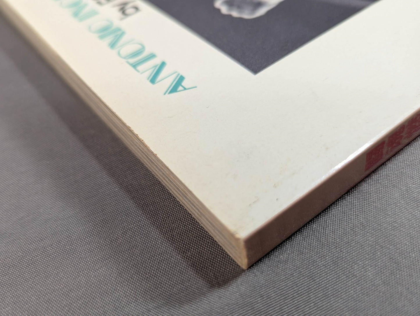 闘魂燃写 猪木の夢