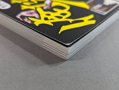 俺たちのプロレス Vol.4 UWFインターナショナル 11名が明かした「プロレスこそ最強」の真実
